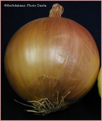 picture of yellow onion in skin